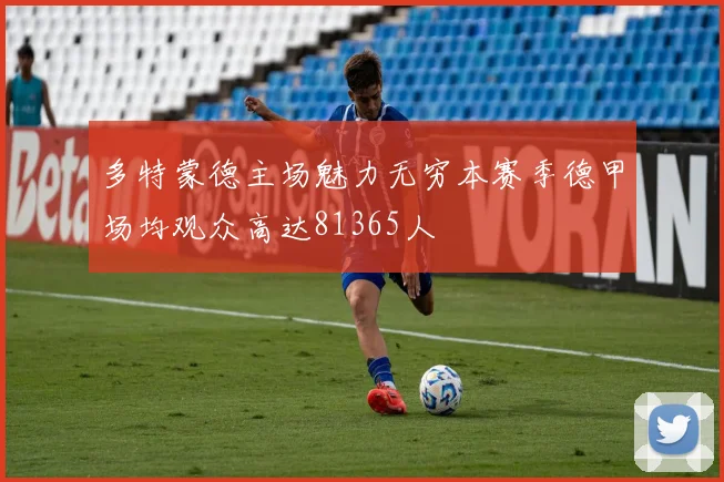 多特蒙德主场魅力无穷本赛季德甲场均观众高达81365人
