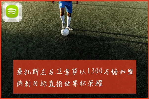 桑托斯左后卫索萨以1300万镑加盟热刺目标直指世界杯荣耀
