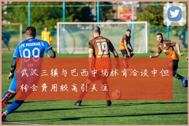 武汉三镇与巴西中场林肯洽谈中但转会费用较高引关注